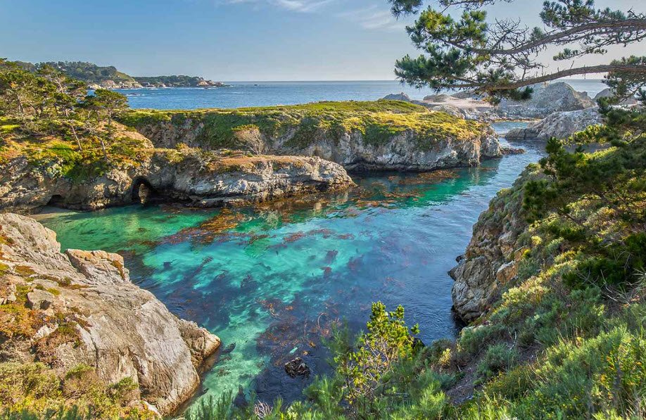 Point Lobos State Natural Reserve, California, USA